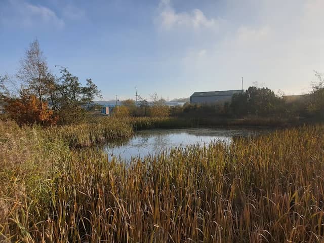 Quarzi Tarn - Image 2