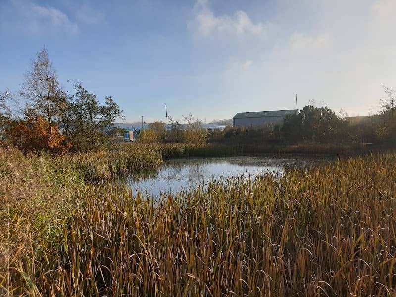 Quarzi Tarn - Image 2