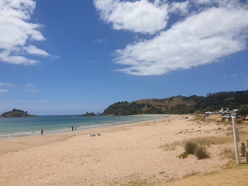 Te Ngaere Recreational Reserve - Image 1