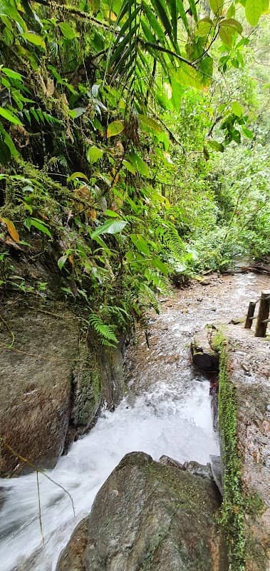Cascada Reina - Image 2