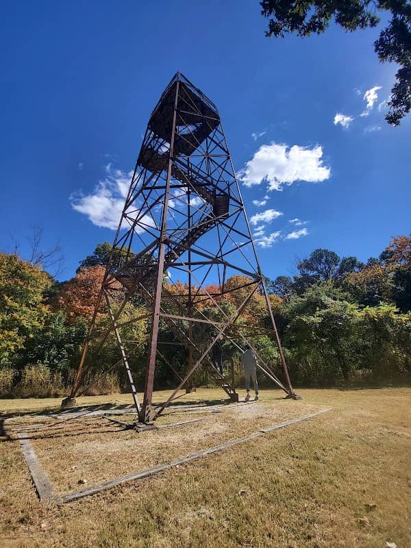 Trigg Observation Tower - Image 2