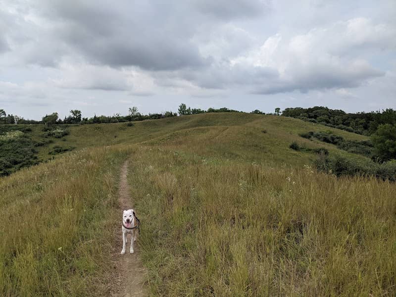 Vincent Bluff State Preserve - Image 1