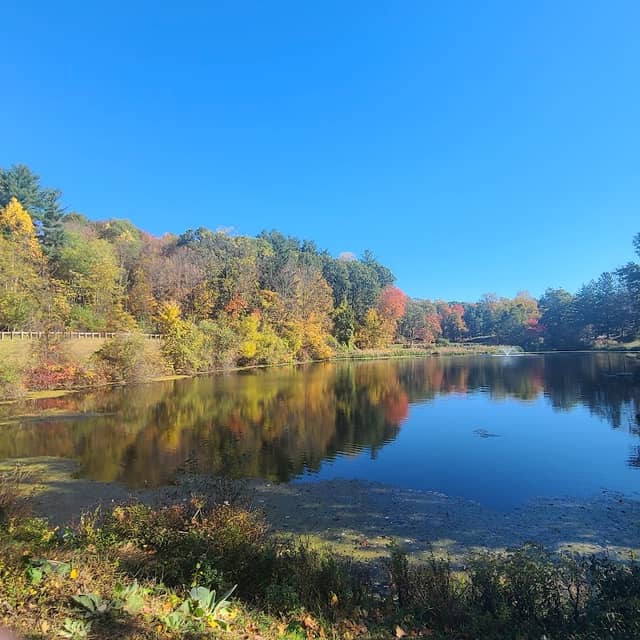 Kathryn Gorman Ponds Park - Image 1
