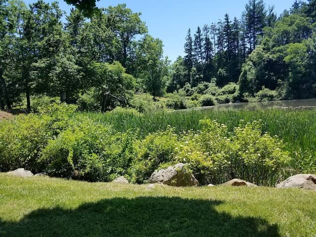 Kathryn Gorman Ponds Park - Image 2