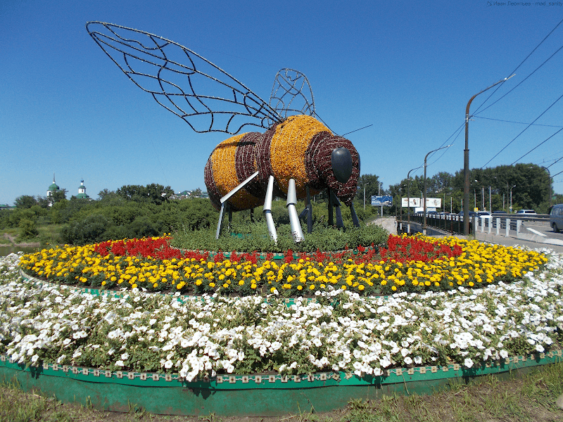 Pchelka, Installyatsiya - Image 1