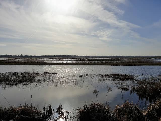 Trilvenen - Image 2