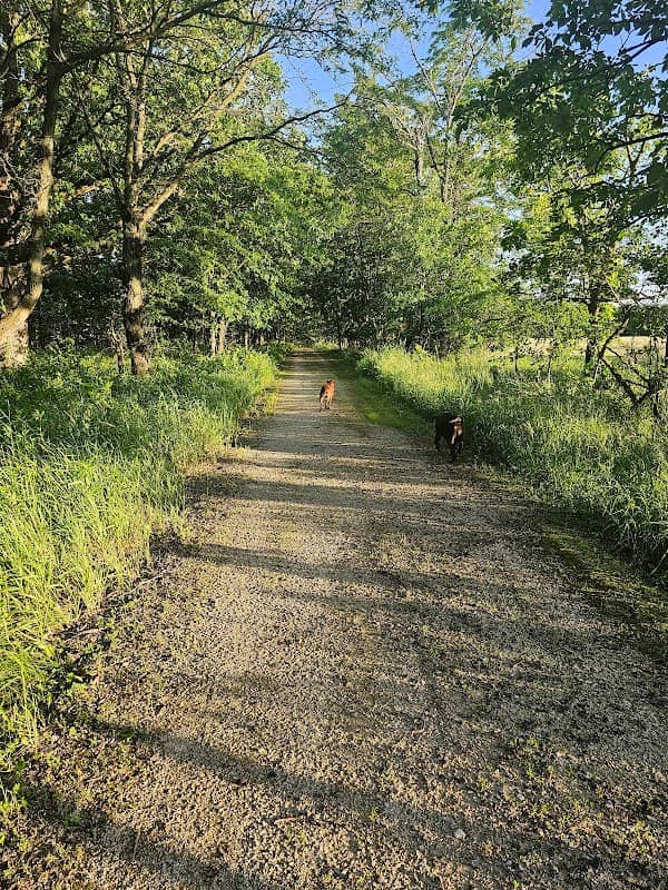 Middle Fork River Forest Preserve - Old Miner's Trail - Image 2