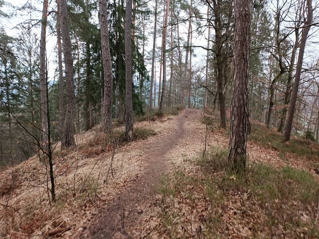 Sitarjevec - Image 1