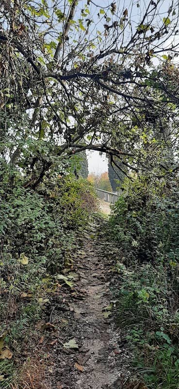 Ponte di Pol - Image 2