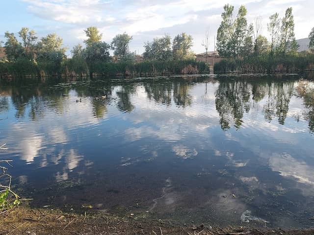 Duck Pond Park - Image 2