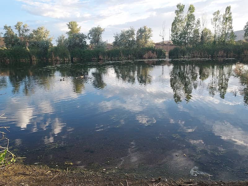 Duck Pond Park - Image 2