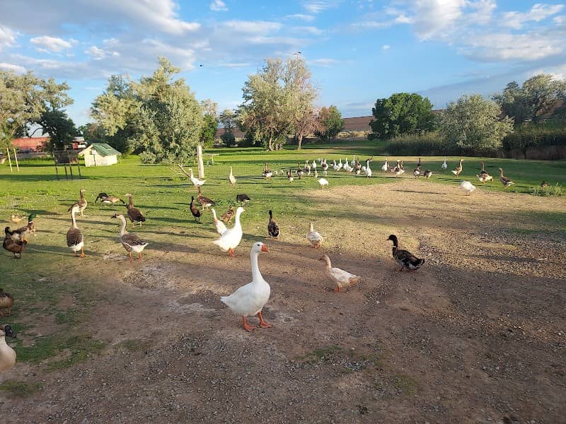 Duck Pond Park - Image 1