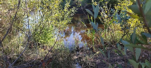 Lagoa - Image 1