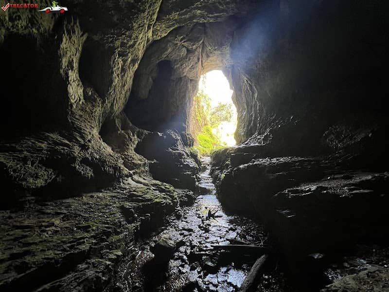 Rădeasa's Fortress Cave - Image 1