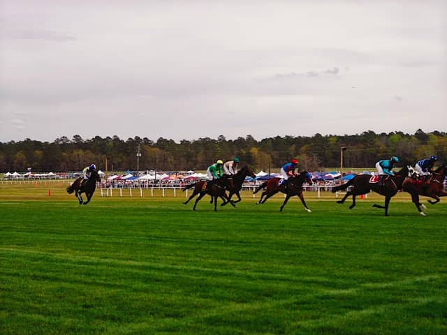 The Carolina Cup - Image 1