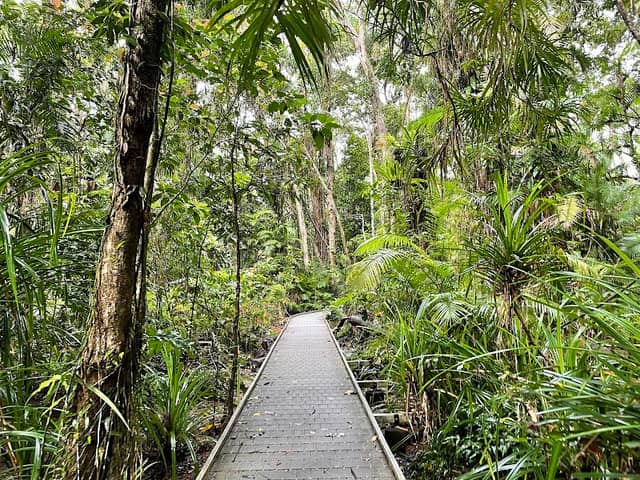Madja Boardwalk - Image 1
