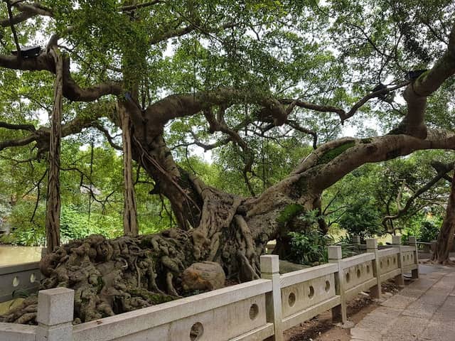 小洲村 - Image 1