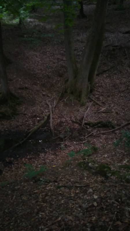 Von Schwanberg Quelle - Image 1