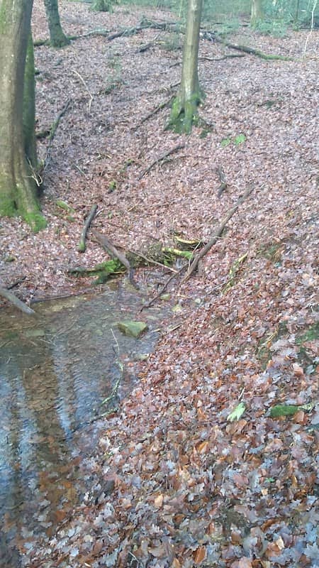 Von Schwanberg Quelle - Image 2