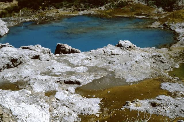 Lake Waikaukau - Image 2