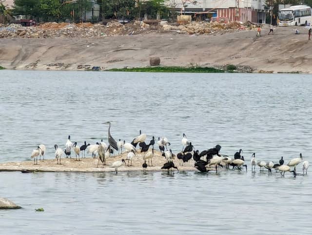 Ambir Lake - Image 2