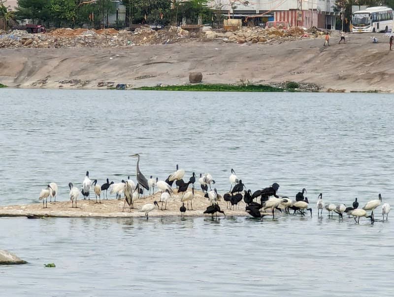 Ambir Lake - Image 2