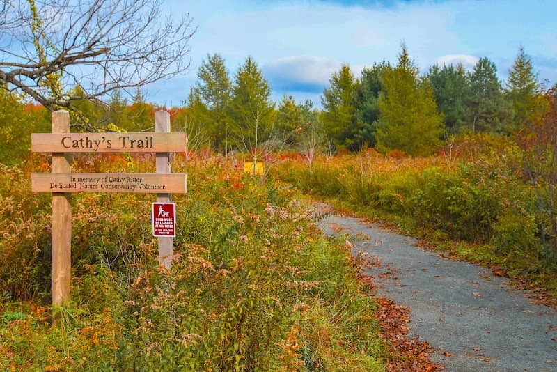 Long Pond Nature Preserve - Image 1