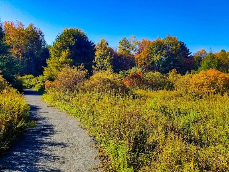 Long Pond Nature Preserve - Image 2