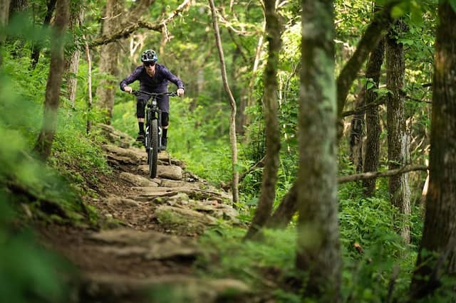 Coler Mountain Bike Preserve - Image 1
