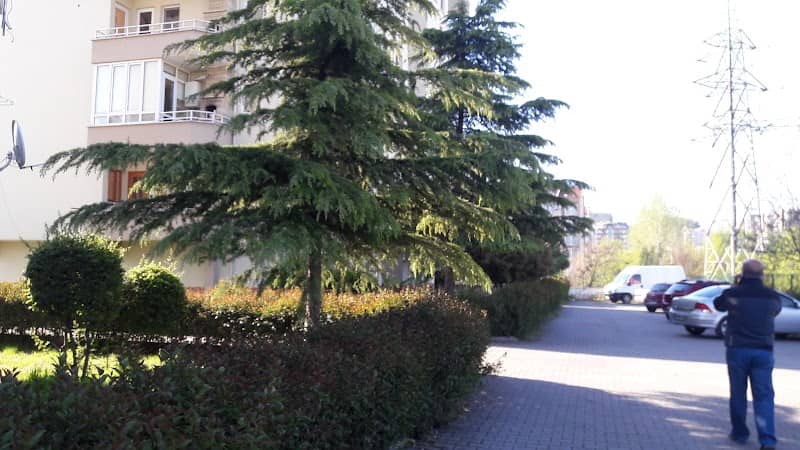 Park area - Image 1