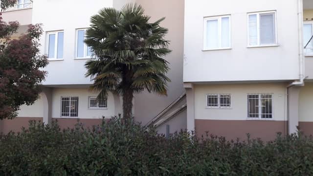 Park area - Image 2