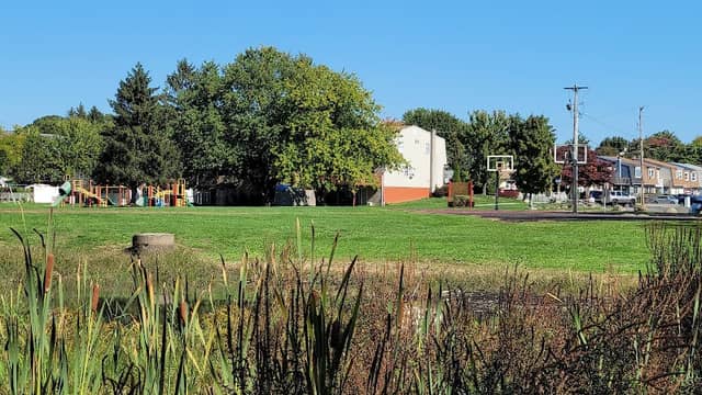 David Weiss Memorial Park - Image 1