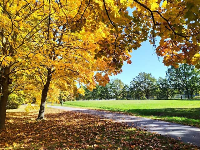 Lázeňský park Třeboň - Image 1