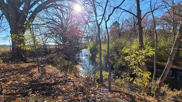 Demille Bowl, Mountain Bike / Multi-use Trail - Image 1