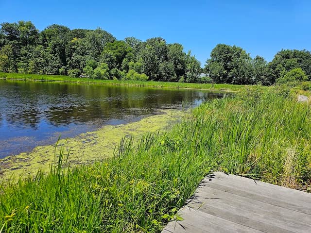 Carol H Sweet Nature Center - Image 2