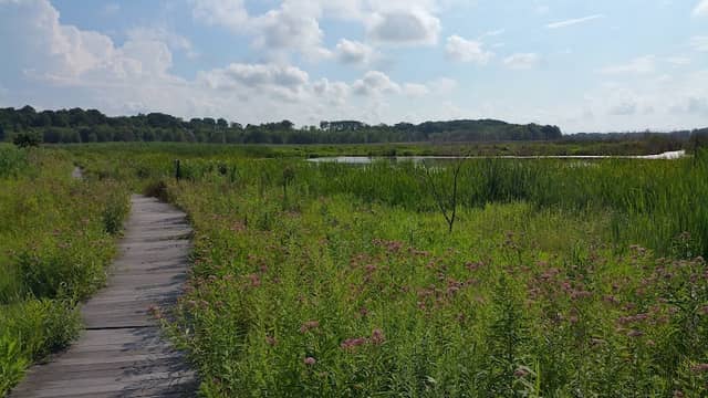Carol H Sweet Nature Center - Image 1