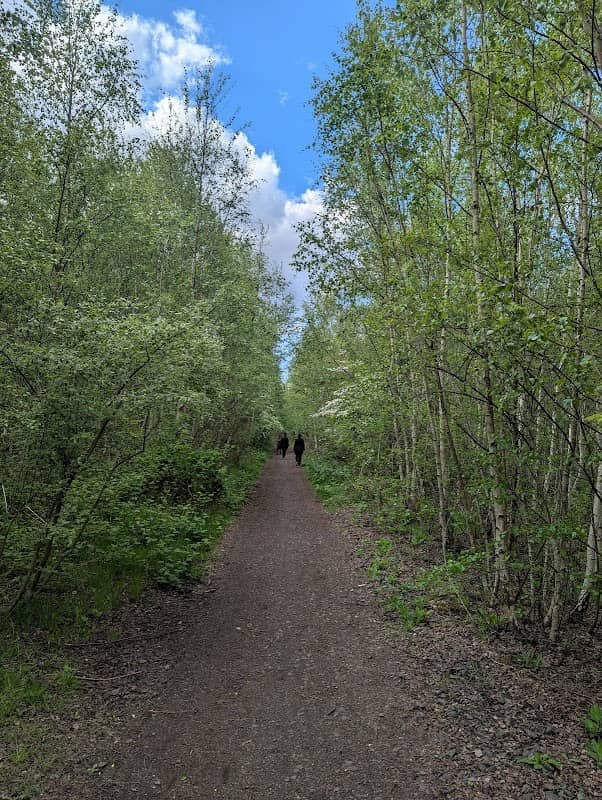 Toton Fields Nature Reserve - Image 2