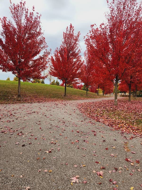 Speight Park - Image 1