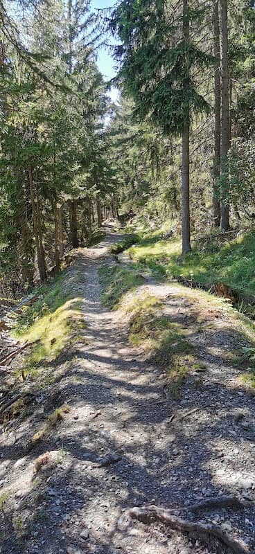 Bisse du Tsampé - Image 1