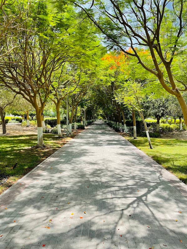 Sgal Community Park - Image 2