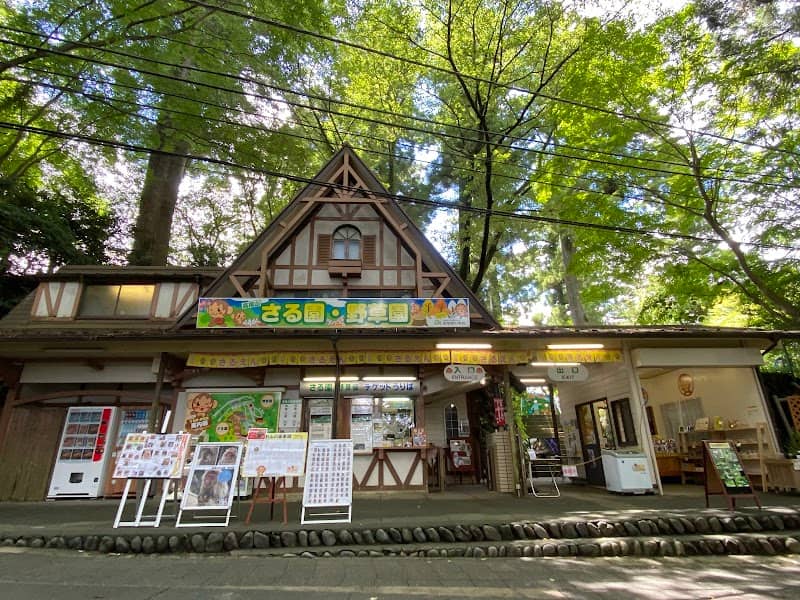Mt Takao Monkey Park & Wildflower Garden - Image 1
