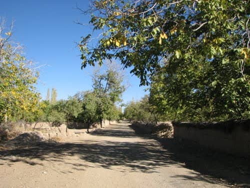 Fotek Garden - Image 1