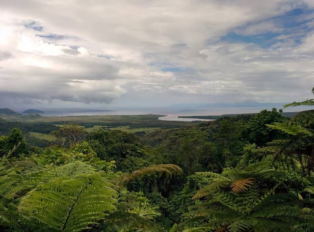 Mount Alexandra Lookout - Image 3