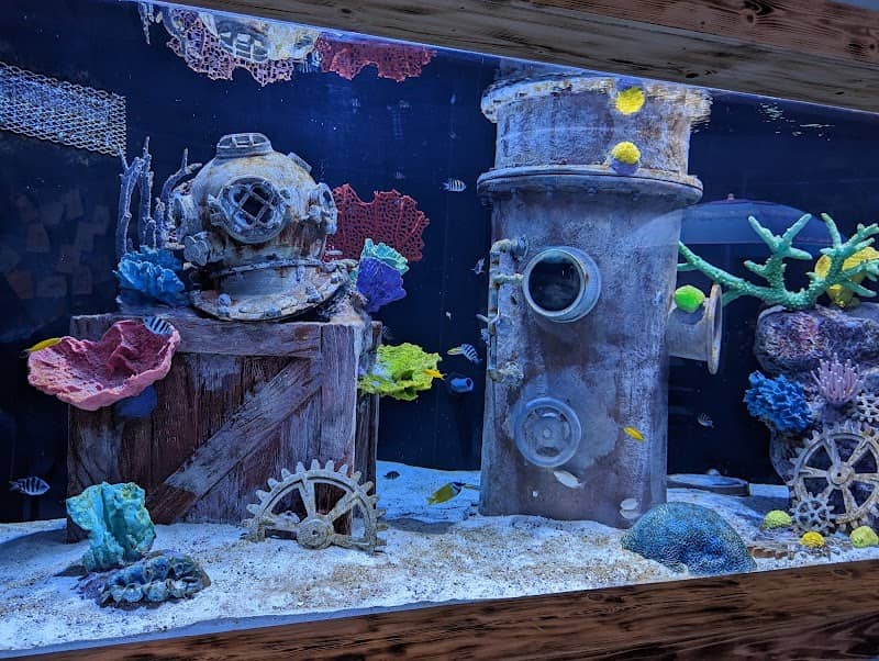Blue Zoo Aquarium Rogers - Image 3