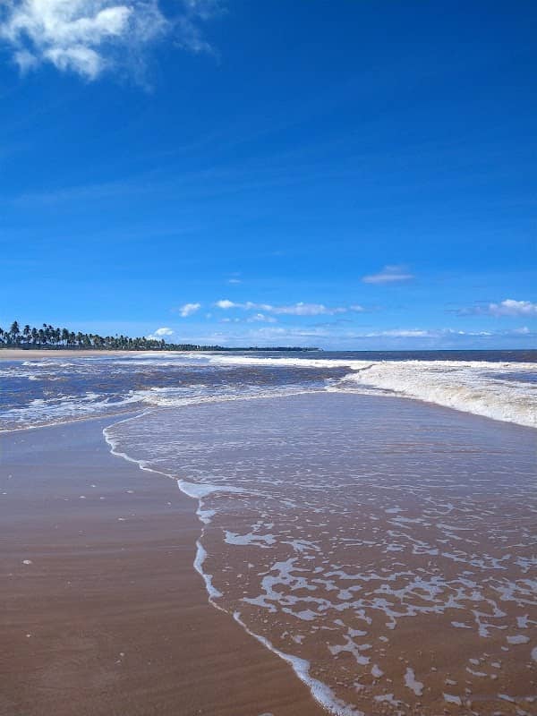 Barra do Pojuca River - Image 1