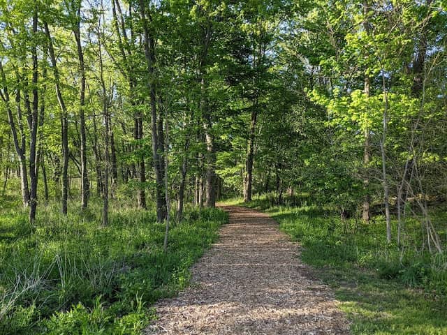Danford Island Park - Image 2