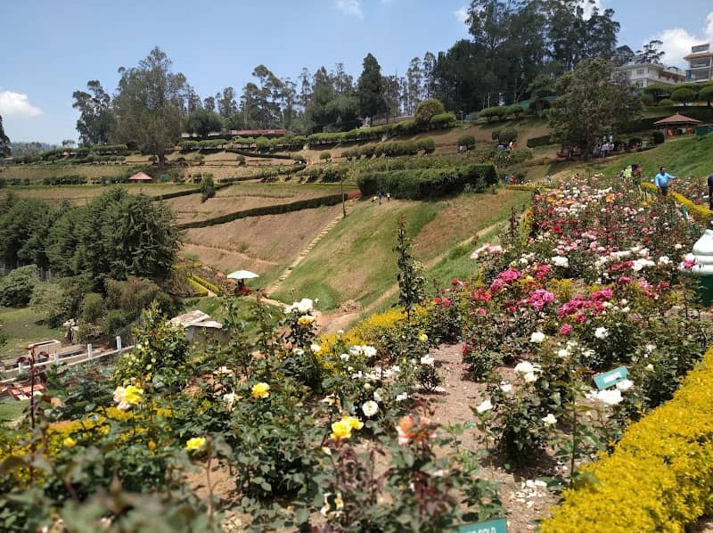 Government Rose Garden - Image 1