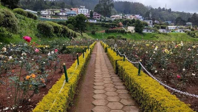 Government Rose Garden - Image 3