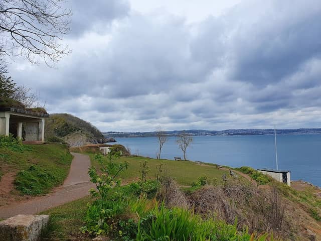 Battery Gardens - Image 2