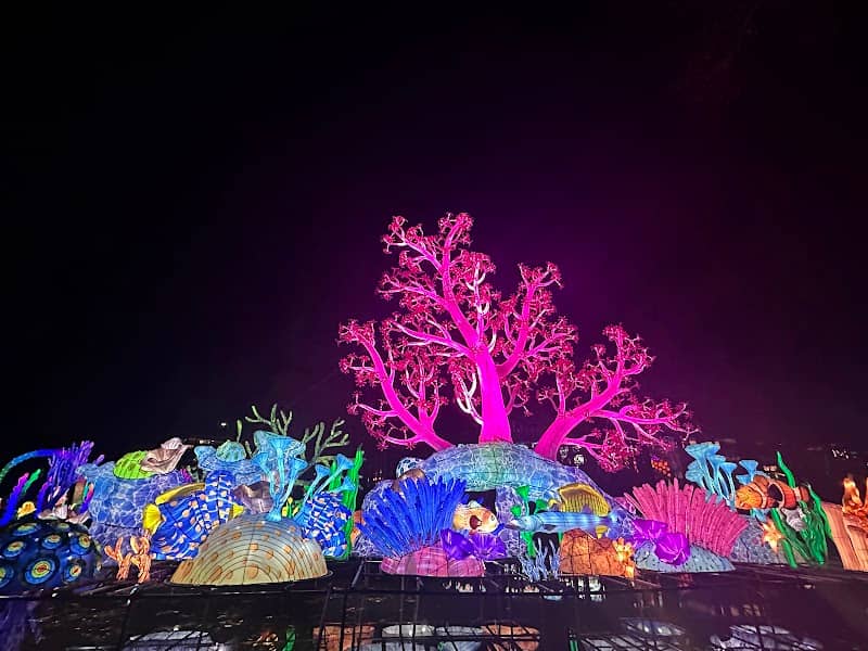 North Carolina Chinese Lantern Festival - Image 2